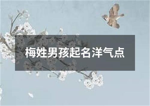 梅姓男孩起名洋气点