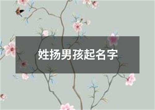 姓扬男孩起名字