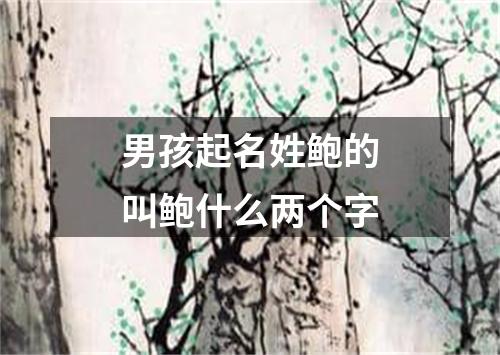 男孩起名姓鲍的叫鲍什么两个字