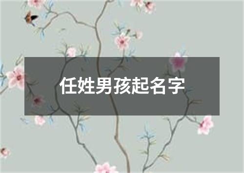 任姓男孩起名字