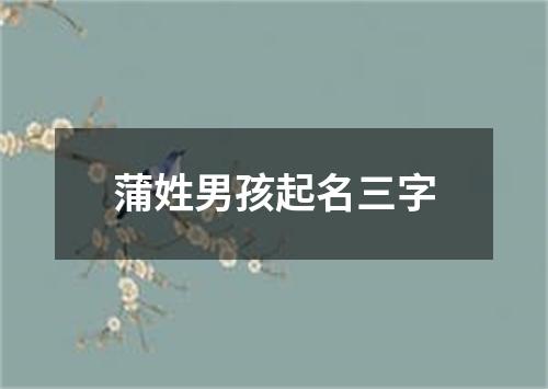 蒲姓男孩起名三字