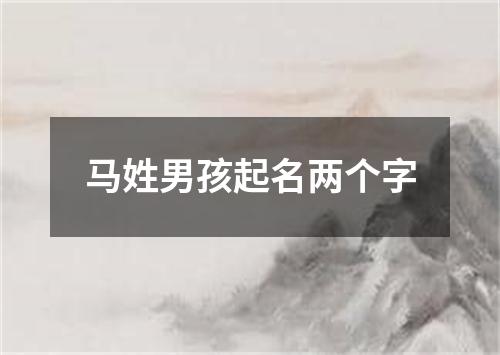 马姓男孩起名两个字