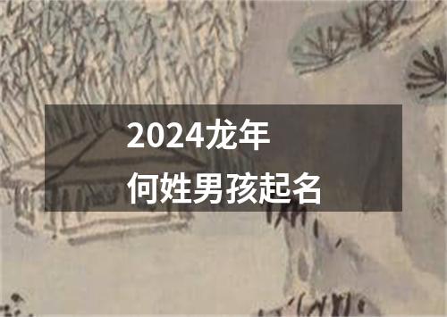 2024龙年何姓男孩起名