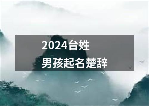 2024台姓男孩起名楚辞