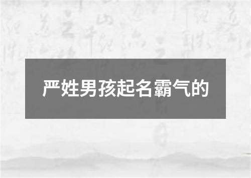 严姓男孩起名霸气的