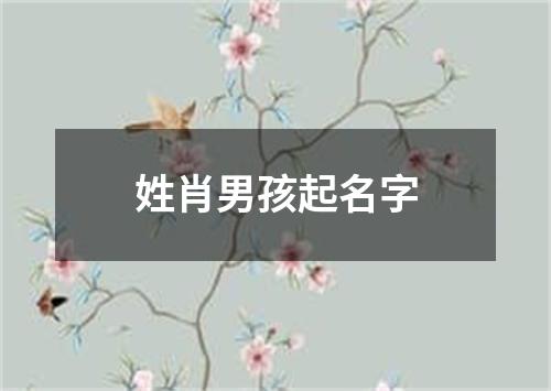 姓肖男孩起名字