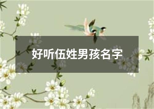 好听伍姓男孩名字