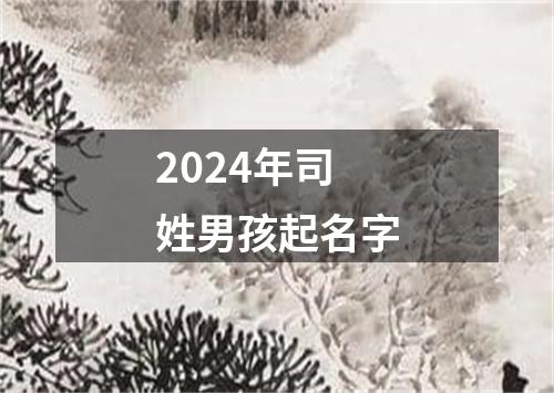 2024年司姓男孩起名字