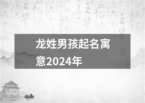 龙姓男孩起名寓意2024年