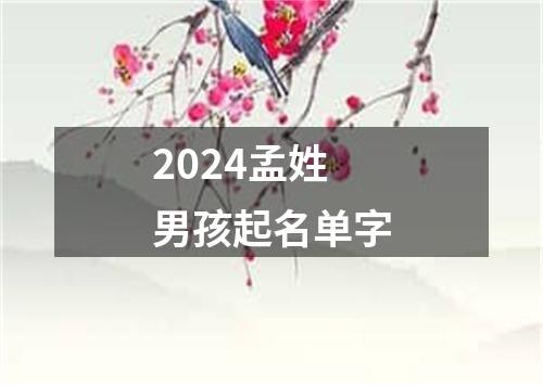 2024孟姓男孩起名单字