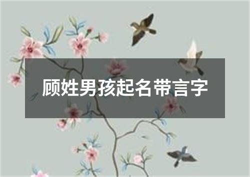 顾姓男孩起名带言字