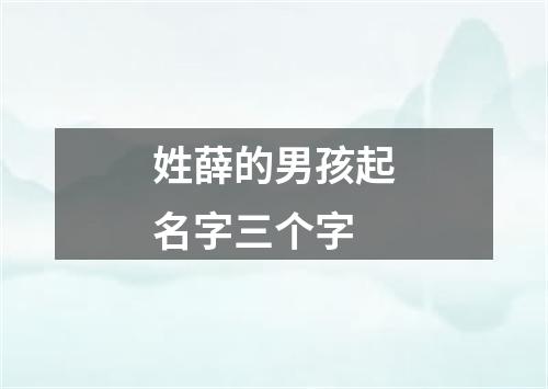 姓薛的男孩起名字三个字