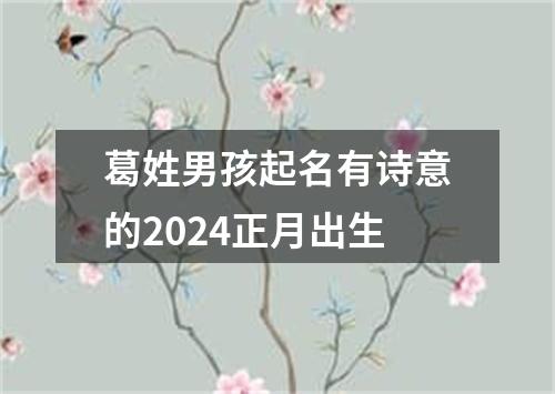 葛姓男孩起名有诗意的2024正月出生