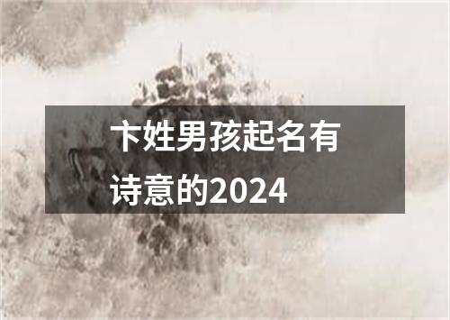 卞姓男孩起名有诗意的2024