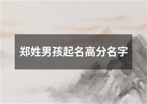 郑姓男孩起名高分名字