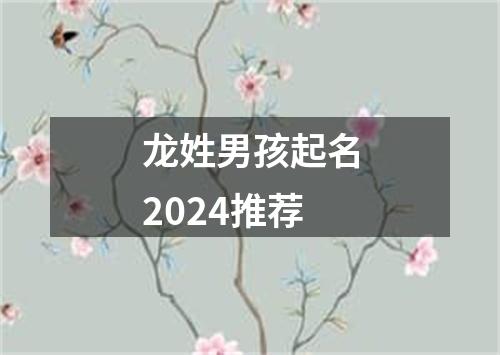 龙姓男孩起名2024推荐