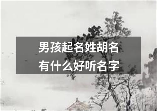 男孩起名姓胡名有什么好听名字