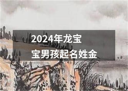 2024年龙宝宝男孩起名姓金