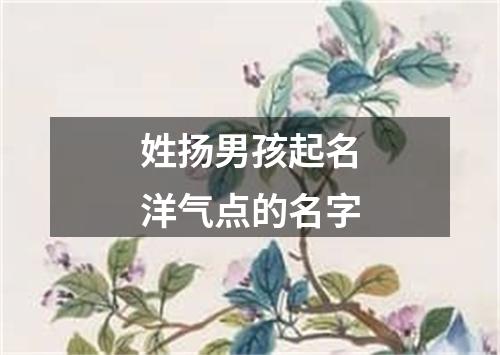 姓扬男孩起名洋气点的名字