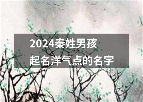 2024秦姓男孩起名洋气点的名字