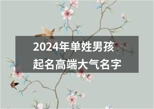 2024年单姓男孩起名高端大气名字