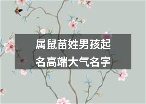 属鼠苗姓男孩起名高端大气名字