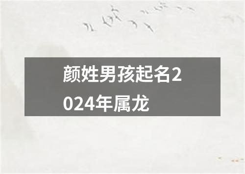 颜姓男孩起名2024年属龙