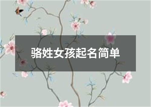 骆姓女孩起名简单