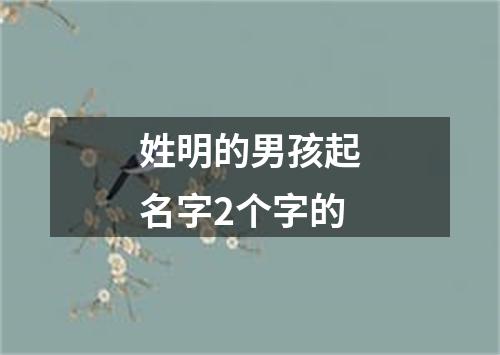 姓明的男孩起名字2个字的