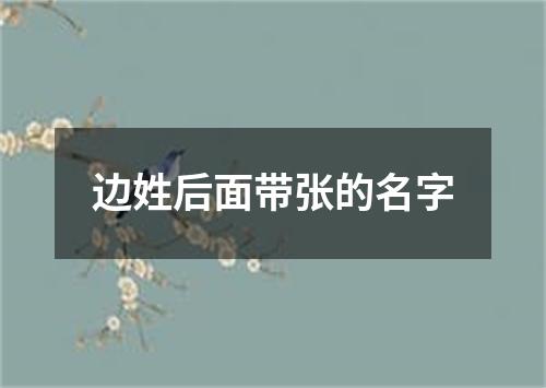 边姓后面带张的名字