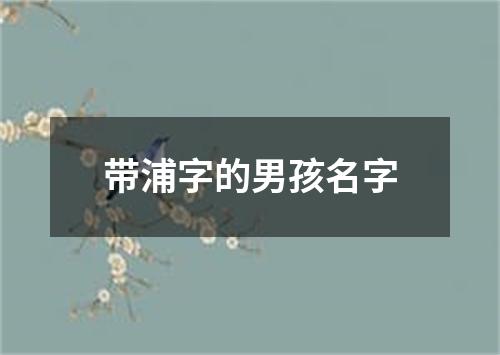 带浦字的男孩名字