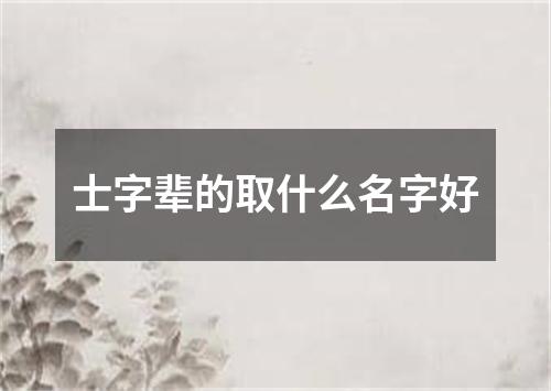 士字辈的取什么名字好