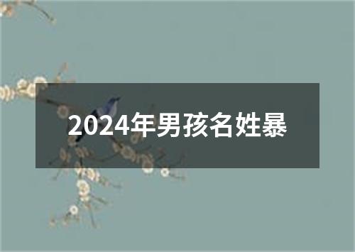 2024年男孩名姓暴