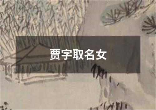 贾字取名女