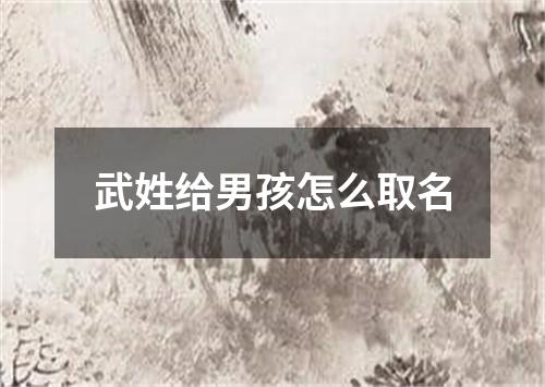 武姓给男孩怎么取名