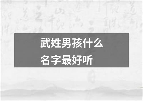 武姓男孩什么名字最好听