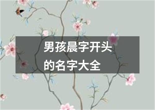 男孩晨字开头的名字大全