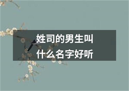 姓司的男生叫什么名字好听