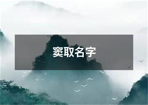 窦取名字