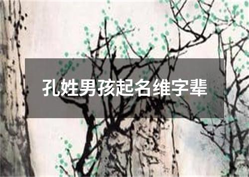 孔姓男孩起名维字辈