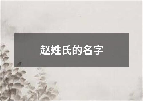 赵姓氏的名字