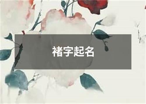 褚字起名