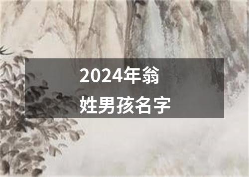 2024年翁姓男孩名字