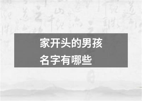 家开头的男孩名字有哪些