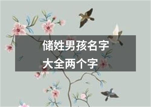 储姓男孩名字大全两个字