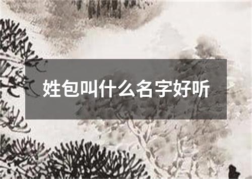 姓包叫什么名字好听