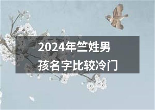 2024年竺姓男孩名字比较冷门