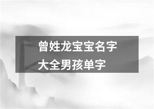 曾姓龙宝宝名字大全男孩单字