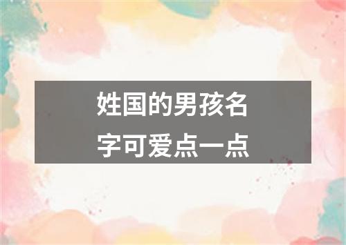 姓国的男孩名字可爱点一点