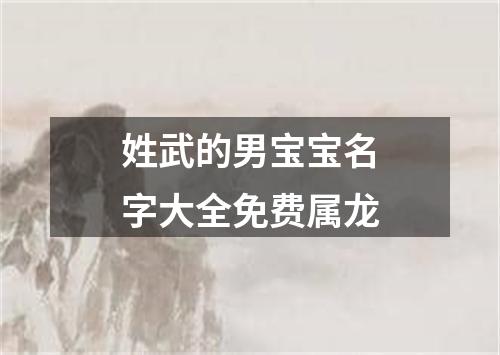 姓武的男宝宝名字大全免费属龙